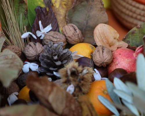 I frutti dell´autunno, i frutti della fiducia