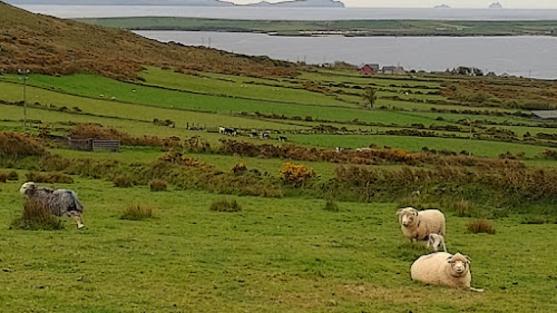 Il viaggio in Irlanda dell´VIII classe