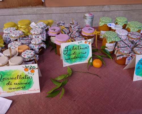 Raccolta fondi per l´Asilo alla Piana dei Colli