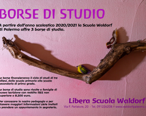 Borse di studio 2020-2021