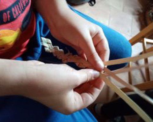 La IV e l´intreccio della palma nana