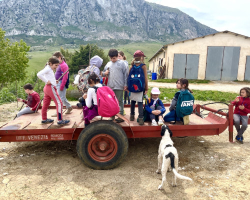 La III classe studia il mestiere del pastore