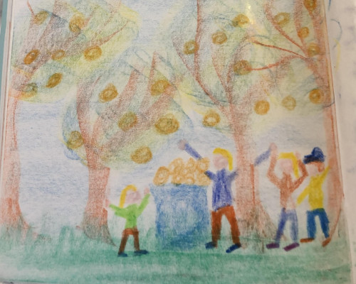 La raccolta delle arance a Villa delle Rose