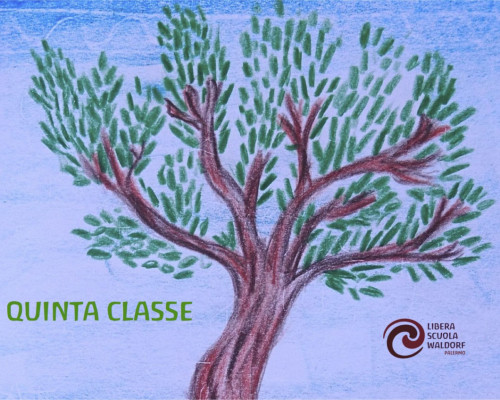 La quinta classe. La scuola si presenta