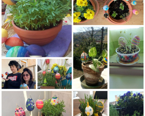 I giardinetti di Pasqua della VI
