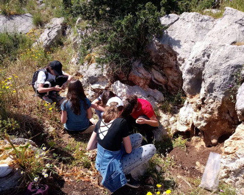Lezione di mineralogia