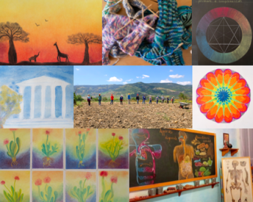 Open day novembre 2024