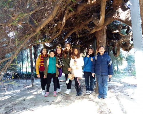 La V classe all´Orto botanico di Palermo