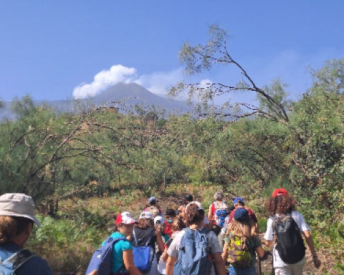 La V classe in gita sull´Etna