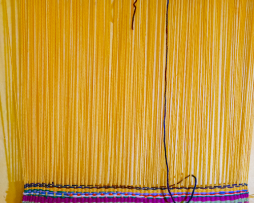 DoniAmo la Scuola Waldorf