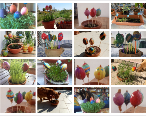 La II classe accoglie la primavera