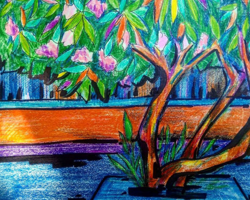 Associazione Libera Scuola Waldorf ETS