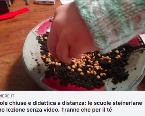 La didattica a distanza nelle Scuole Steiner-Waldorf. Articolo del Corriere della Sera
