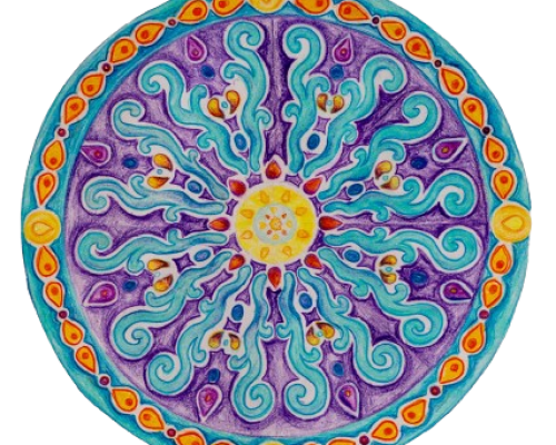 Apertura delle iscrizioni 2024-2025