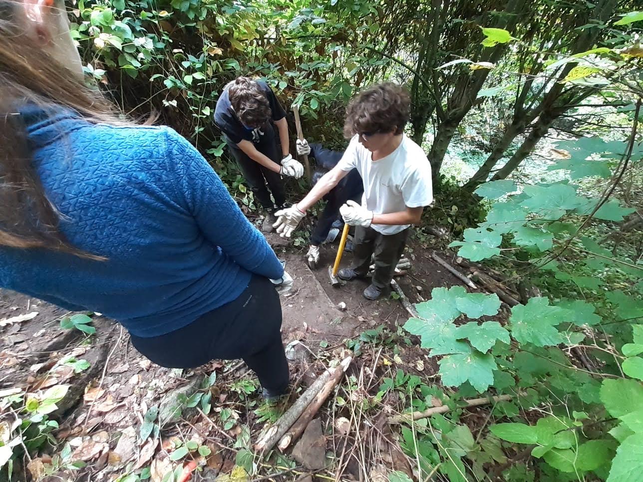 Forestazione della IX nell'Appenino bolognese