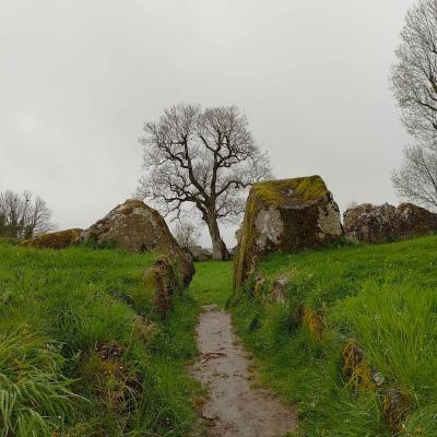 Img20240502164630hdr 1 689