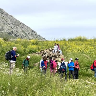 Img4140 800