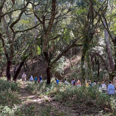 2025 Ph Nayelisalas Waldorf Gitaautuno10