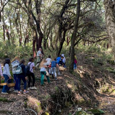 2025 Ph Nayelisalas Waldorf Gitaautuno11