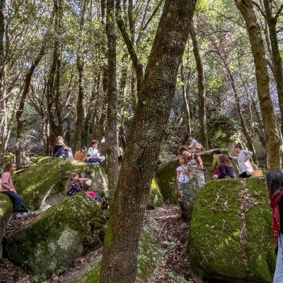 2025 Ph Nayelisalas Waldorf Gitaautuno16