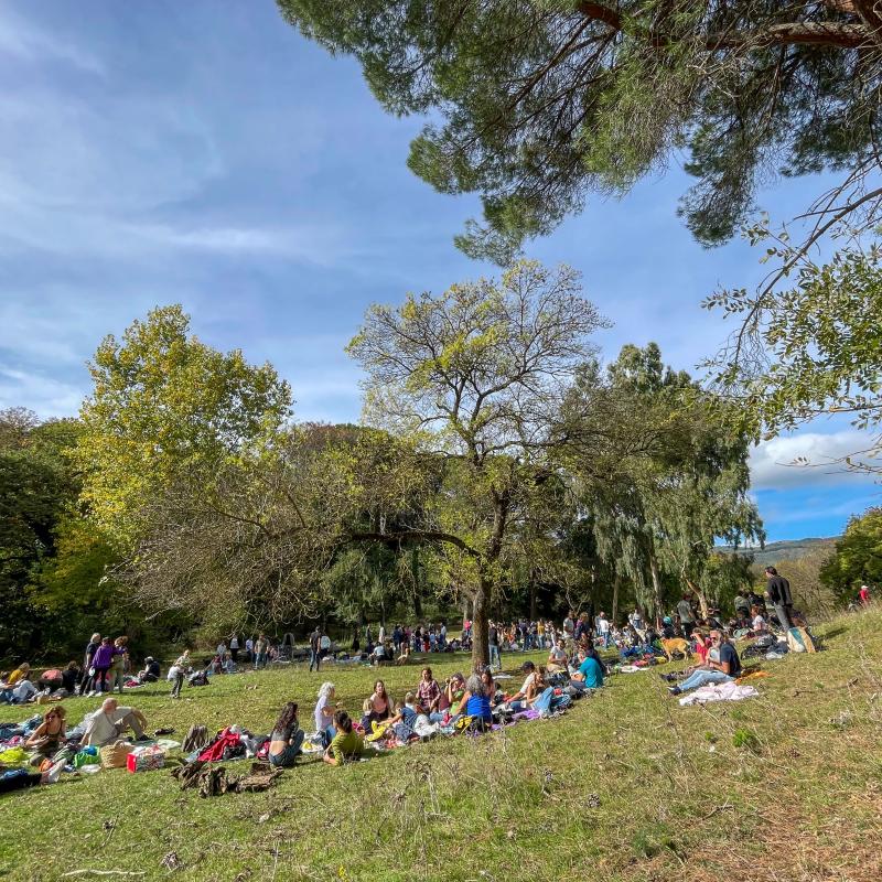 2025 Ph Nayelisalas Waldorf Gitaautuno17