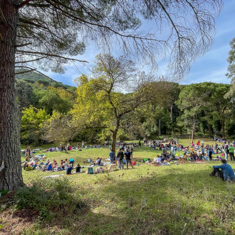 2025 Ph Nayelisalas Waldorf Gitaautuno19