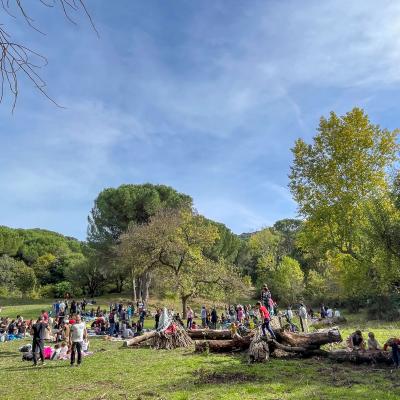 2025 Ph Nayelisalas Waldorf Gitaautuno23