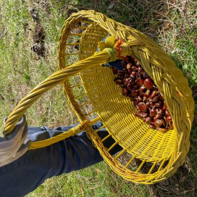 2025 Ph Nayelisalas Waldorf Gitaautuno25