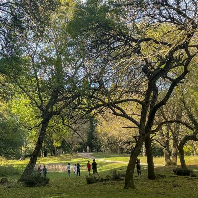 2025 Ph Nayelisalas Waldorf Gitaautuno34