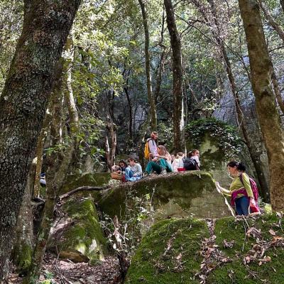 2025 Ph Nayelisalas Waldorf Gitaautuno38