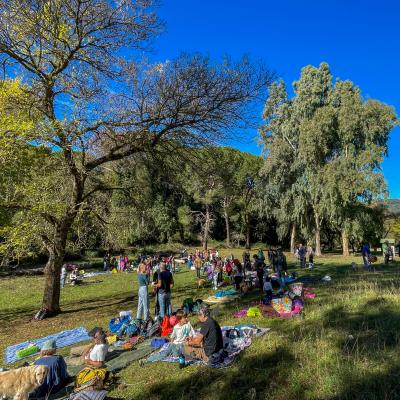 2025 Ph Nayelisalas Waldorf Gitaautuno3