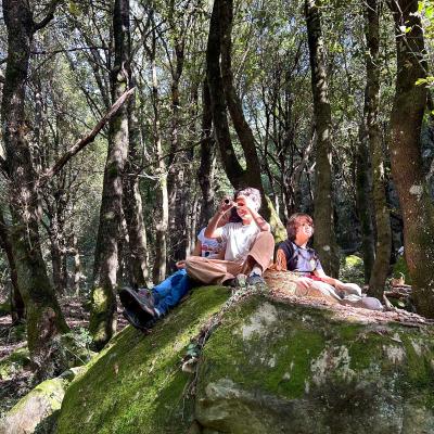 2025 Ph Nayelisalas Waldorf Gitaautuno40