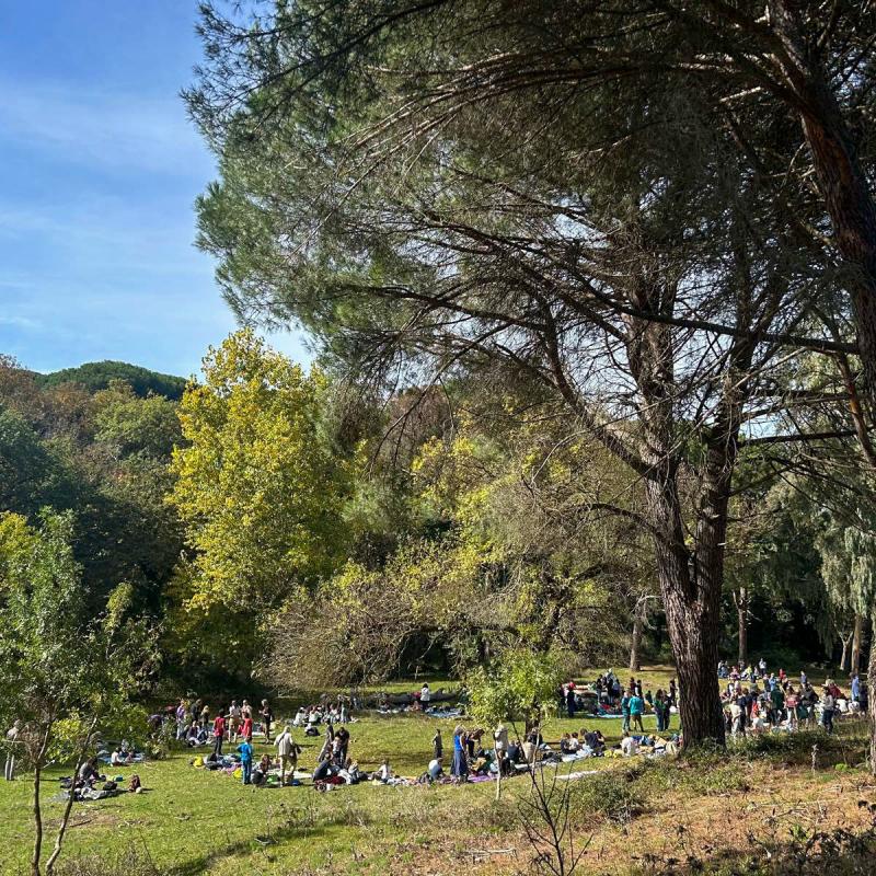 2025 Ph Nayelisalas Waldorf Gitaautuno43