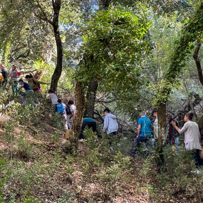 2025 Ph Nayelisalas Waldorf Gitaautuno7