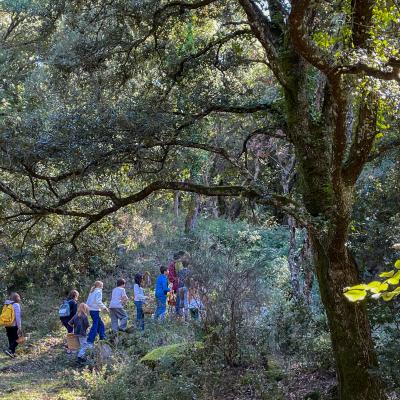 2025 Ph Nayelisalas Waldorf Gitaautuno8