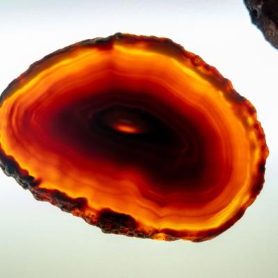 2025 11 29 Waldorf Bazar58