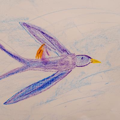 2025 11 22 Waldorfpa Openday27