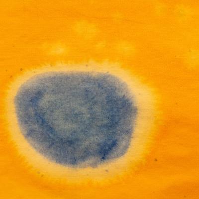 2025 11 22 Waldorfpa Openday32