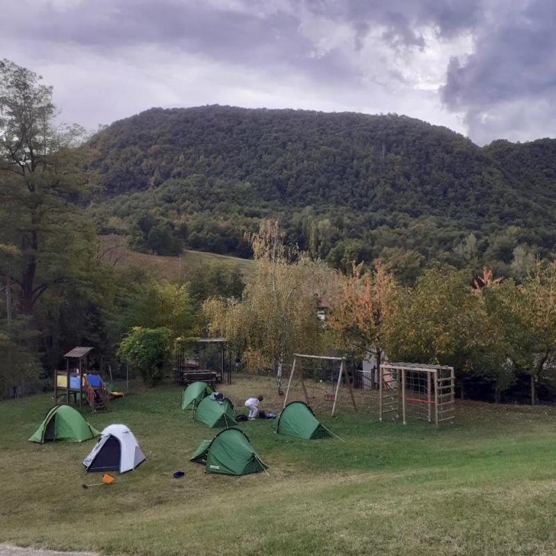0. Foresta Jpg