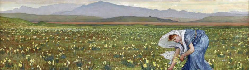 Primavera Crane