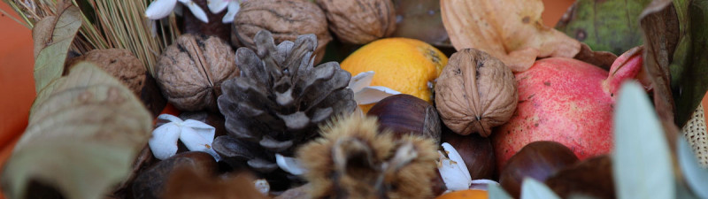 Festa autunno