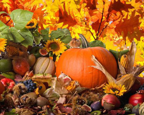 La festa d´Autunno 